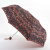 Женский зонт Minilite-2 комбинированный Fulton L354-2765 SweetWilliam