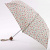 Женский зонт Cath Kidston Tiny-2 комбинированный Fulton L521-2536 LinenSpring