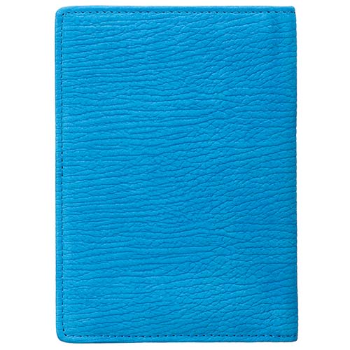 Обложка для паспорта голубой Др.Коффер S10141