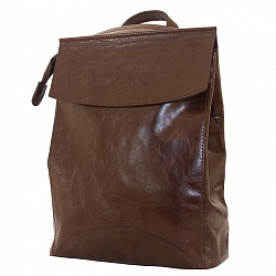 Женская сумка-рюкзак, темно-коричневая Carlo Gattini 3041-02