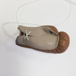 Брелок Alexander TS BS005