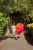 Зонт детский Fulton C913-024 HeartJunior (Сердце)