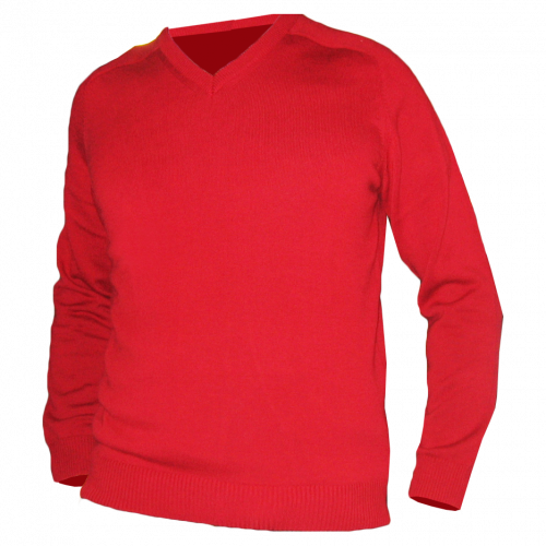 Пуловер с V-образным вырезом мужской Olymp 1501035