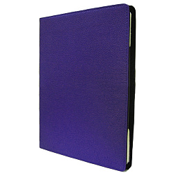Чехол для iPad2 синий Др.Коффер S20012