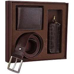 Подарочный набор коричневый Alexander TS NP004 Brown
