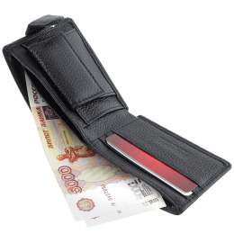 Портмоне горизонтальное чёрное SCHUBERT g010-104/01