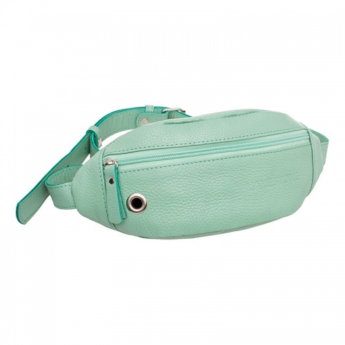 Женская сумка на пояс Bisley Mint Green Lakestone 997023/MG