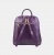 Рюкзак, фиолетовый Alexander TS R0023 Violet Чешир