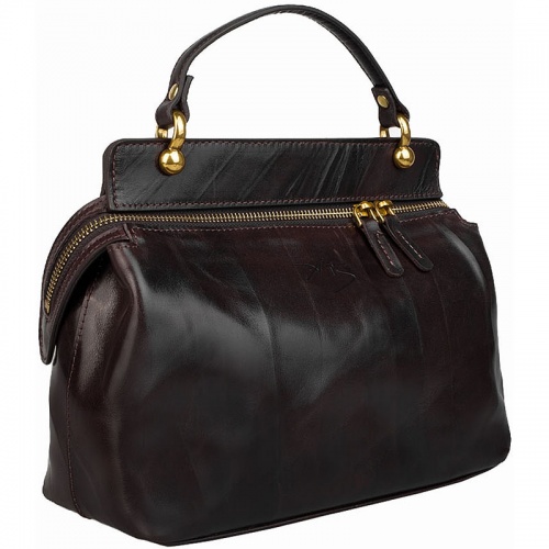 Женская сумка коричневая Alexander TS W0042 Brown