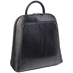Рюкзак чёрный Alexander TS R0023 Black