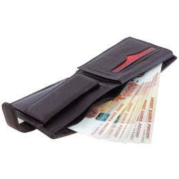 Портмоне горизонтальное тёмно-коричневое SCHUBERT g010-101/02